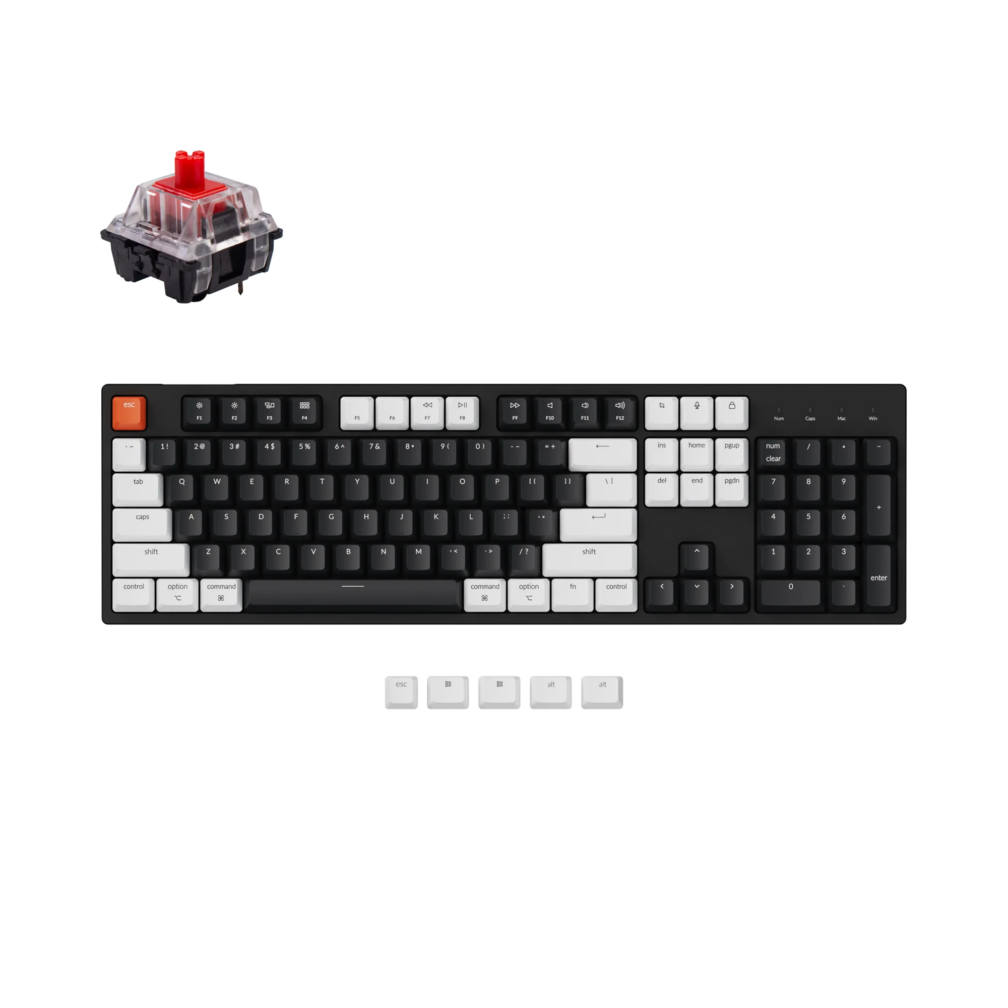 Keychron C2 Wired Mechanical Keyboard - Image 7