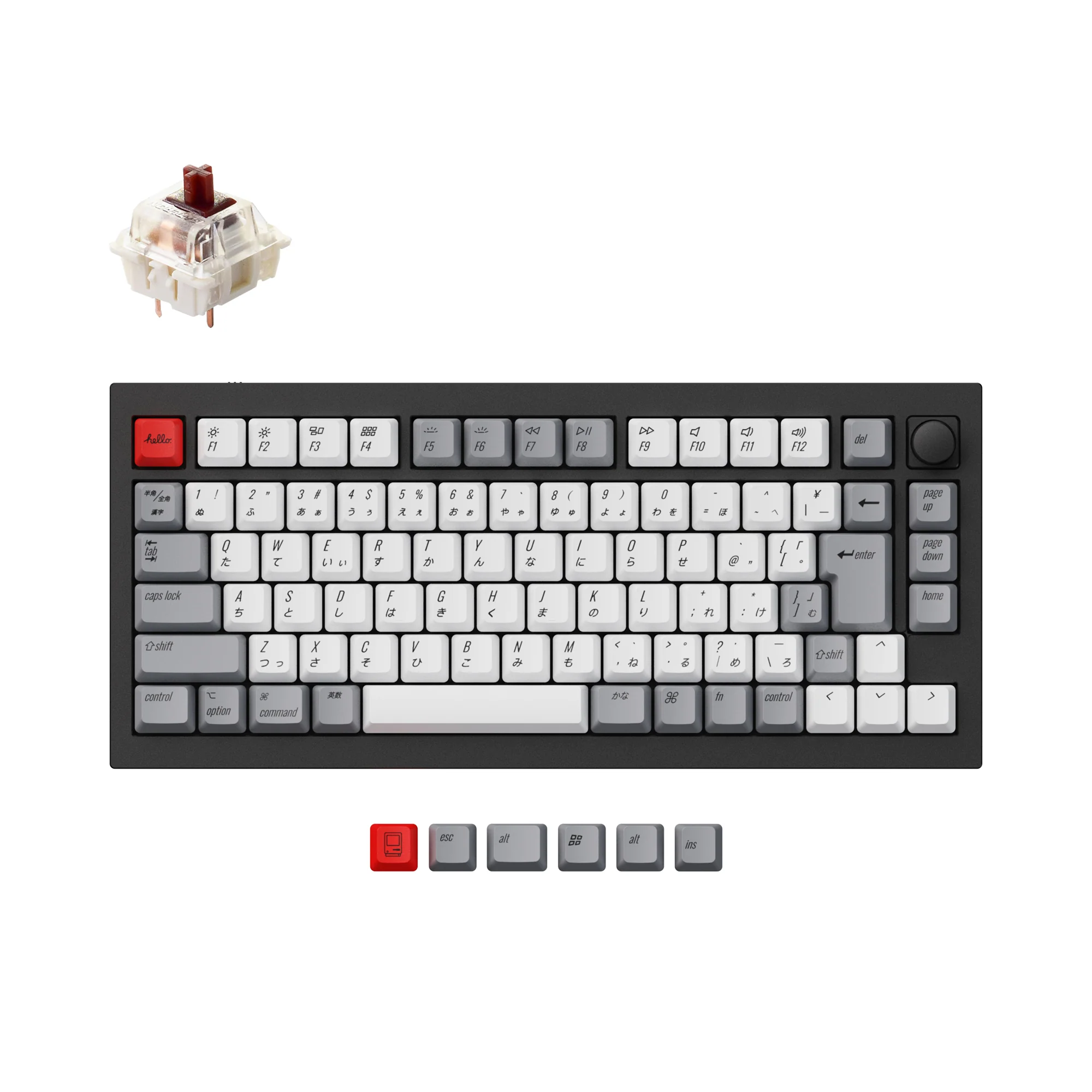 Keychron Q1 QMK Custom Mechanical Keyboard (Japan JIS Layout) - Image 3